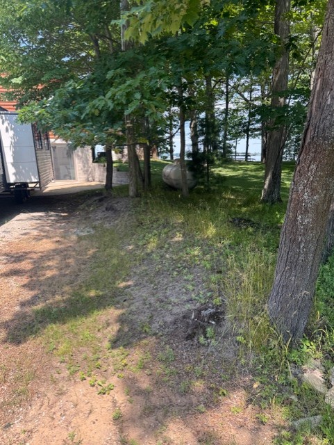 Before landscaping: uneven ground and vegetation around trees beside a cabin driveway